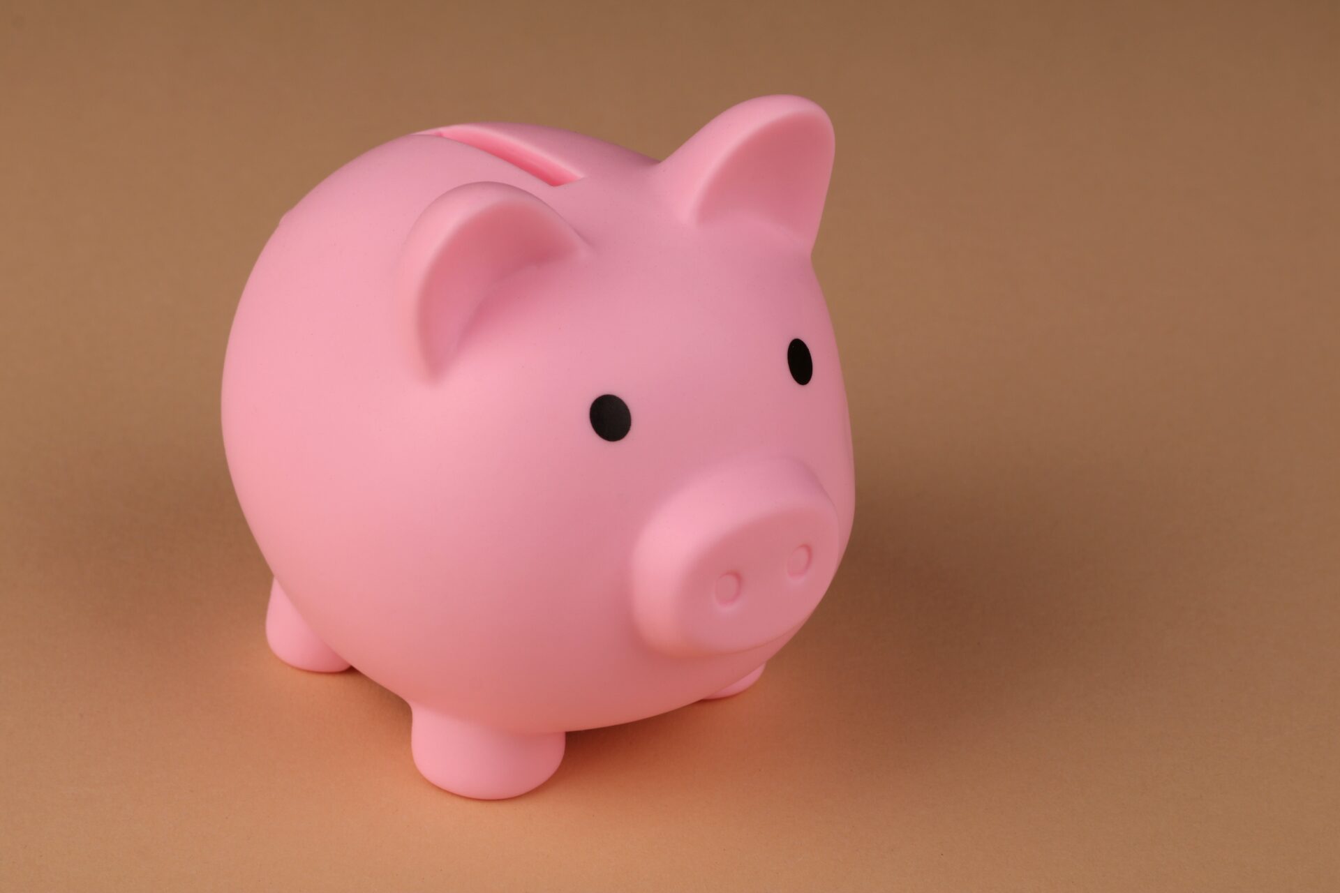 Picture of a pink plastic piggy bank shape like a pig